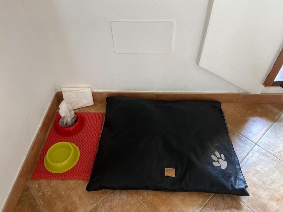 포르토 토레스 Casa Gina 아파트 외부 사진